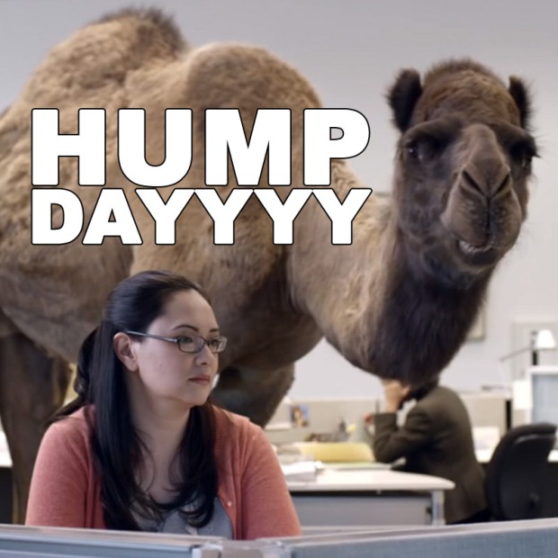 HUMP DAY!